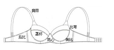 文胸穿着舒适性调查问卷