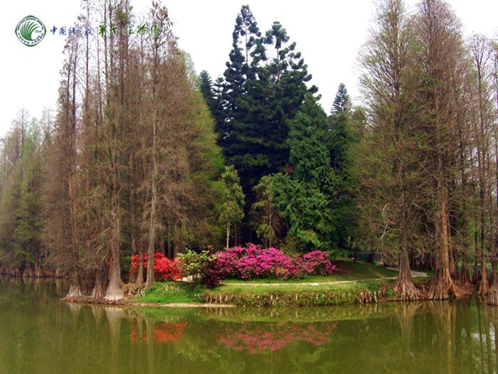 中国科学院华南植物园龙洞琪林景观评价的问卷调查复制